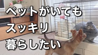 ペットが居てもスッキリ暮らしたい/整理収納アドバイザー/うさぎ/チワックス/ペット用品の収納