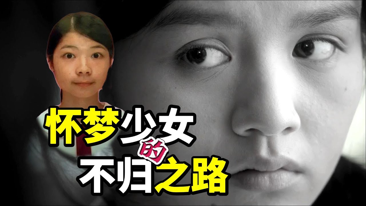 踏血寻梅找到头了吗