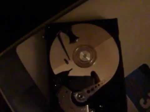 Работа жесткого диска Western Digital 250 GB