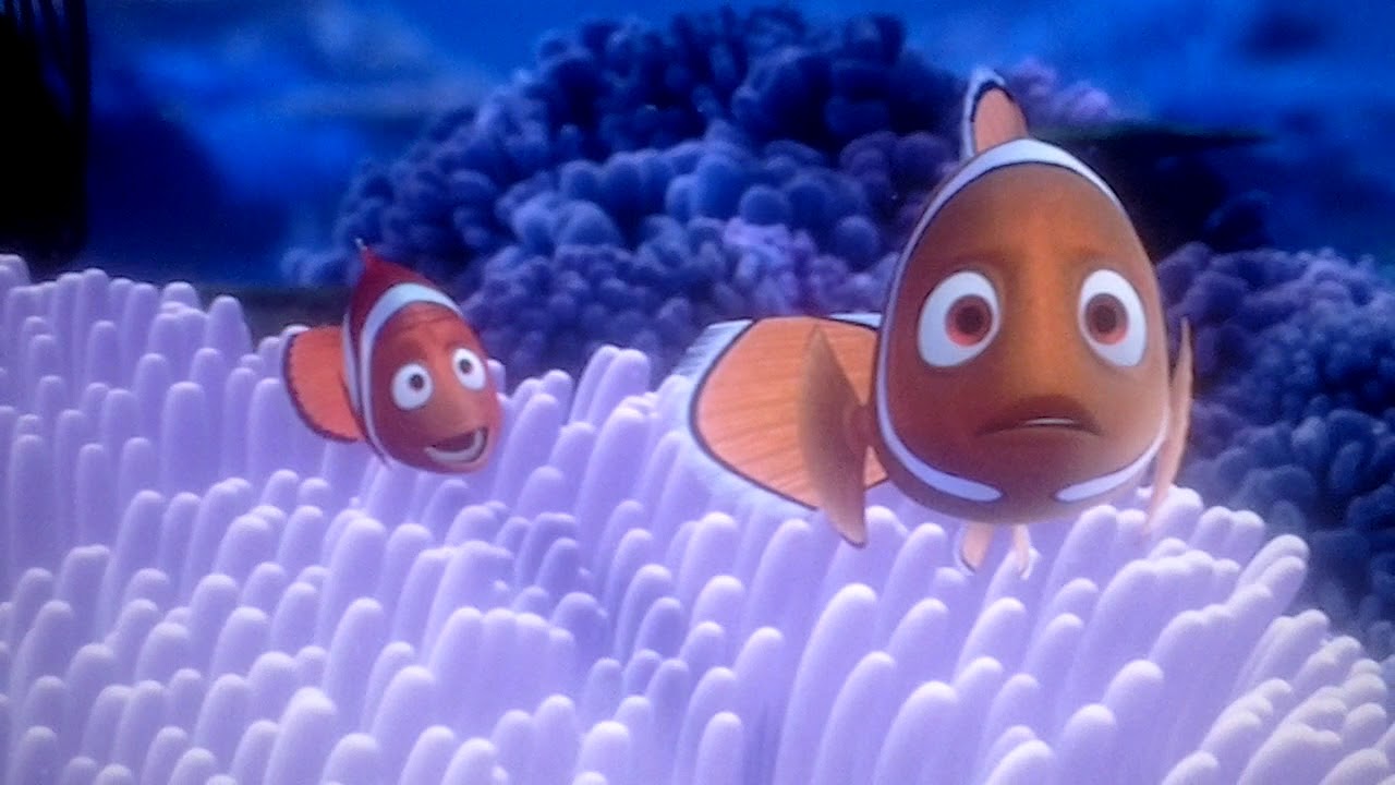 Finding Nemo De grote blauwe zee - YouTube