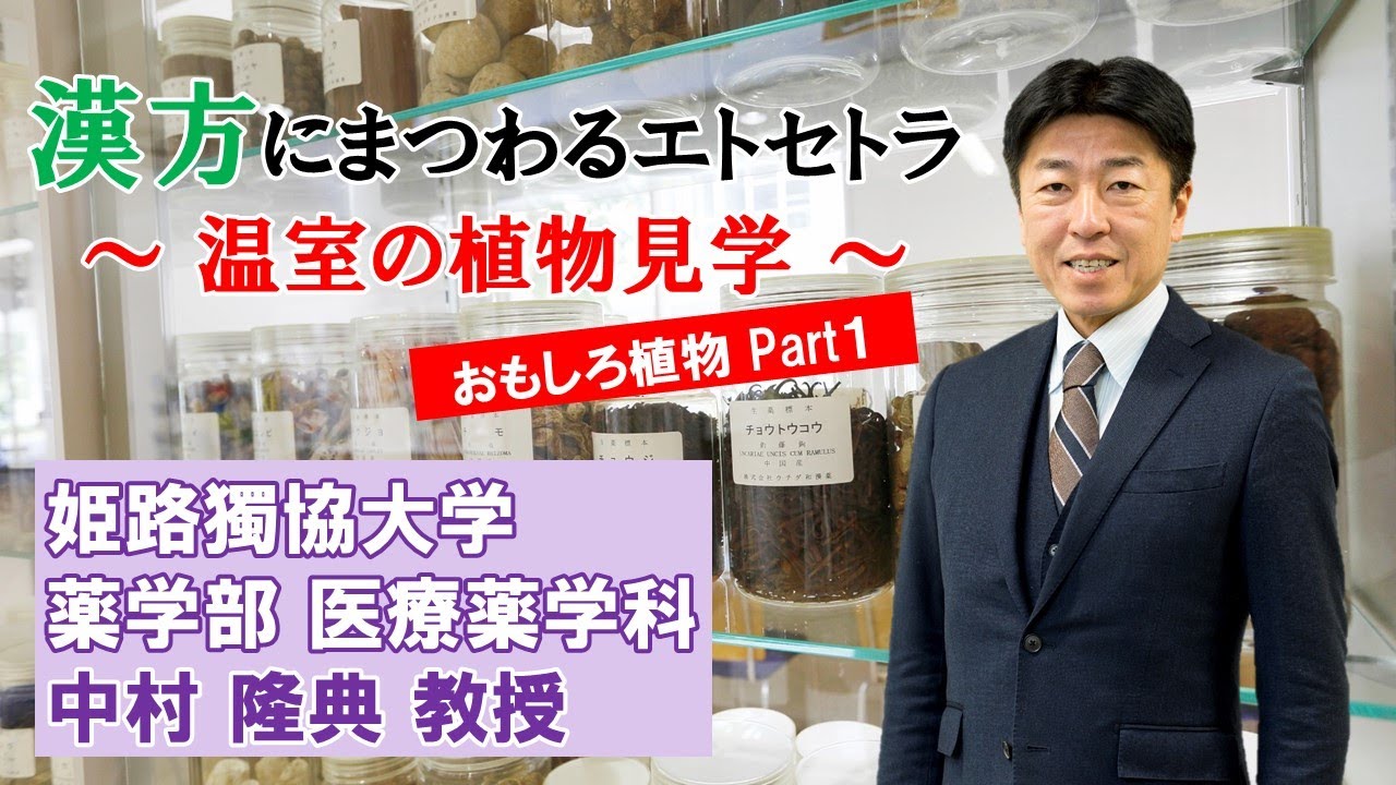 姫路獨協大学 薬学部 ミニ講義 漢方にまつわるエトセトラ 温室の植物見学 おもしろ植物part1 Youtube