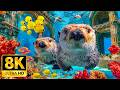 Rare Deep Sea Creatures You’ve Never Seen in 8K HDR | Dolby Vision™