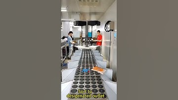 #conveyor #logistics #sorting #telescopic #distribution #roller #dws Parcel Sorting conveyo