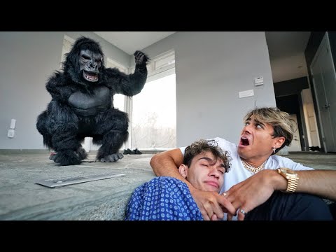 angry-gorilla-breaks-into-our-house!