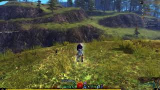 Guild Wars 2 | Shot with GeForce