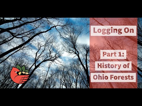 Logging On Part 1: The History of Ohio Forests