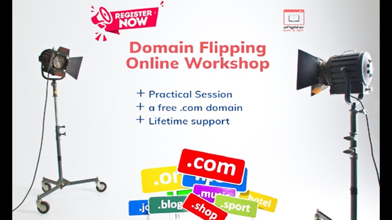 Domain Flipping Online Workshop