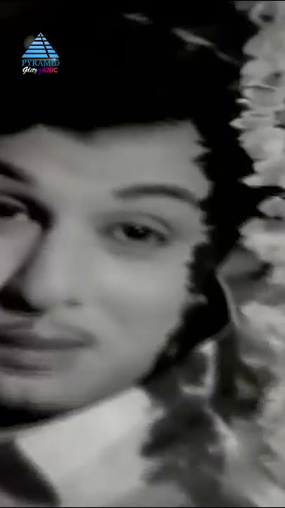 Pal Vannam Paruvam Vertical Song | Paasam Tamil Movie Songs | MGR | Saroja Devi | PG Music