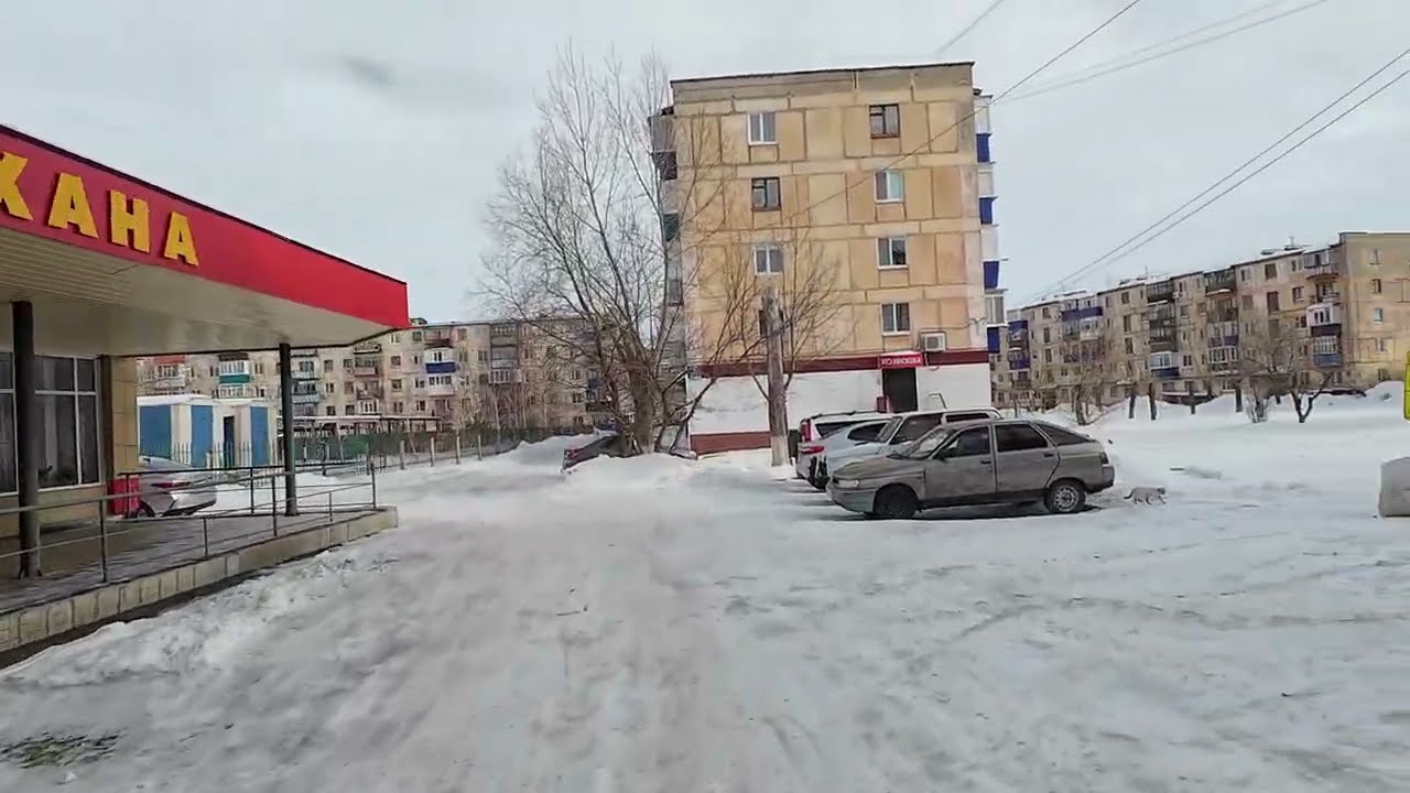 Оттепель 16.02.2026 #лисаковск #казахстан #зима #оттепель