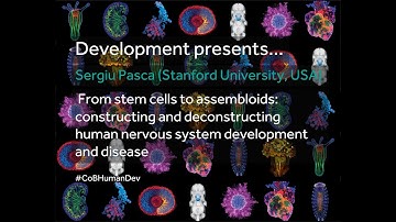 Development presents... Sergiu Pasca