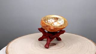 Ebros Marine Natural Abalone Shell On Accent Wood Tripod Stand Jewelry Incense Holder