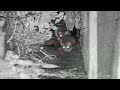 RAT PEST CONTROL - MORE RATS, MORE SHOTS, MORE ACTION