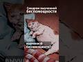 Что такое синдром выученной беспомощности? #shorts