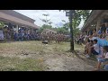 2022 dec.11 38th founding anniversary in guanzon