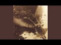 Miniature de la vidéo de la chanson Fly Away