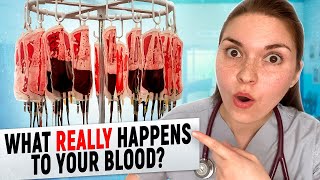 Doctor Explains: What REALLY Happens To Your Blood After Donating