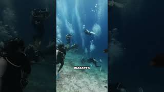 "Why Do Divers Have to Enter This Room After Resurfacing?" 🌊🫧