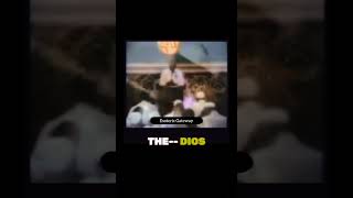 THE VEIL IS THINNING👀👁️🗣️🔔