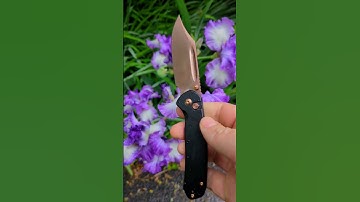 TOP TEN Goobie Woobies! #camping #knife #fixedblade #cool #awesome