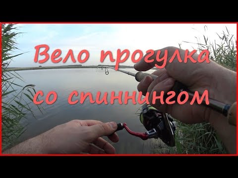 Велоразведка со спиннингом. Жаркий август.