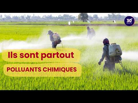 Pollutants: Are we all exposed? | 30 minutes health