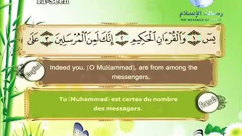 الشيخ مصطفى اللاهوني سورة يس