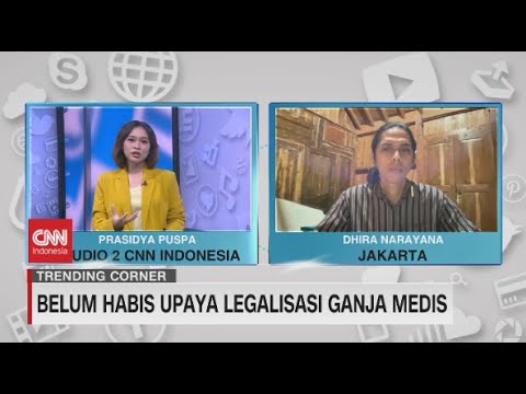 Belum Habis Upaya Legalisasi Ganja Medis