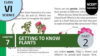 NCERT Class 6th chapter 7th: Getting to know plants ( Part 2)