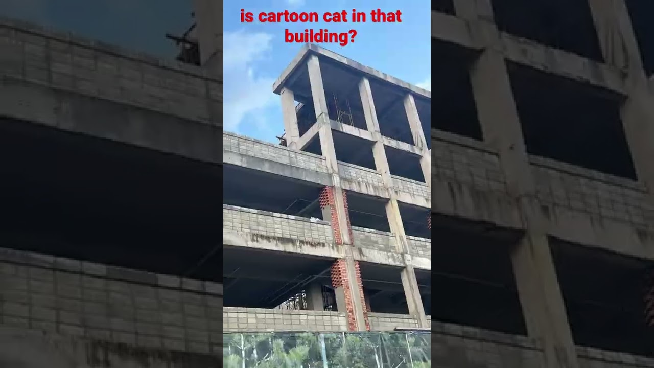 Does Cartoon Cat Lives In That Building YouTube