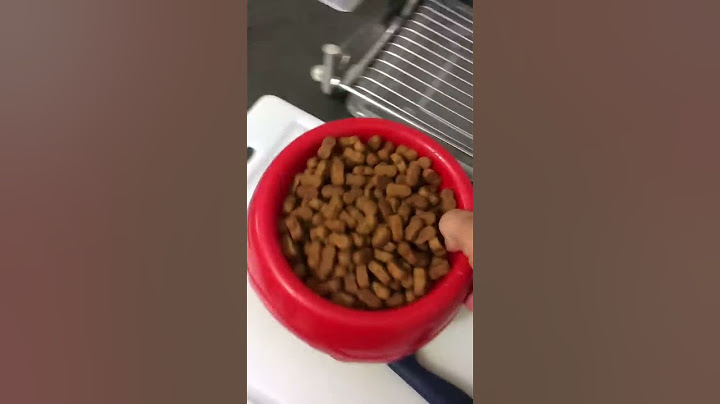 Fake Meal Prep Fools Pup || ViralHog