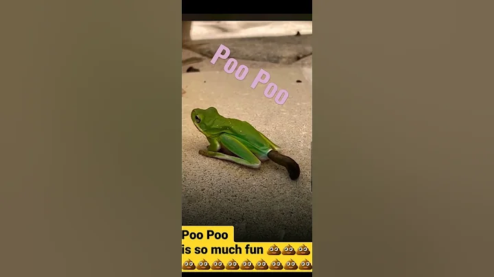 #shorts Poo Poo Fun 😁😁 11