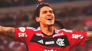 Pack De Clips Do Pedro