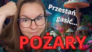 Odcinek 12 - Jak skutecznie ogarnąć swój dzień w 3 krokach?