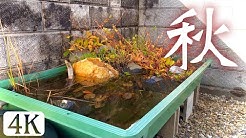 Kento S Village Youtube