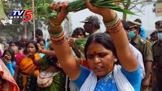 Medaram Jatara 2016 | Specificity of Chilakala Gattu And Edurukollu Event | TV5 News screenshot 5