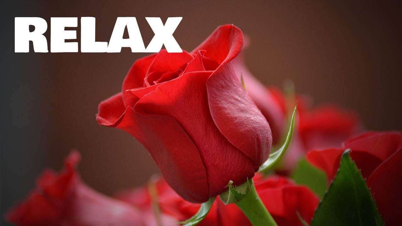 Relaxing beautiful piano music for stress and anxiety relief sleep