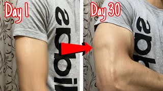 Make Huge Arms in 4 WEEKS  ( Home Workout )