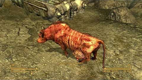 Probably the most evil thing you can do in New Vegas