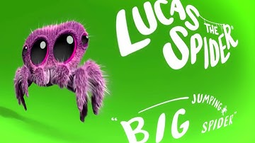 Jump Lucas The Spider Intro Logo Effects | Preview 2 Lois This Is Not My Batman Glass Csupo Effects