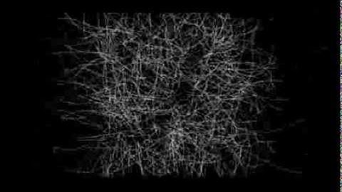 "PARAMETRICISM" by Patrik Schumacher - Zaha Hadid Architects - AADRL, Music by Rosey Chan