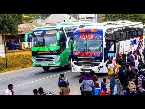 TBT SAULI LUXURY NA GOLDEN DEER MKEKA WA MAKAMBAKO