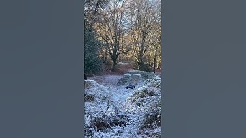 Arrma outcast 8s big jumps at frosty bike park! #rc #arrma #8s #bashing #jumps #shorts