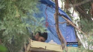 Eastmoreland protester refuses to leave sequoia