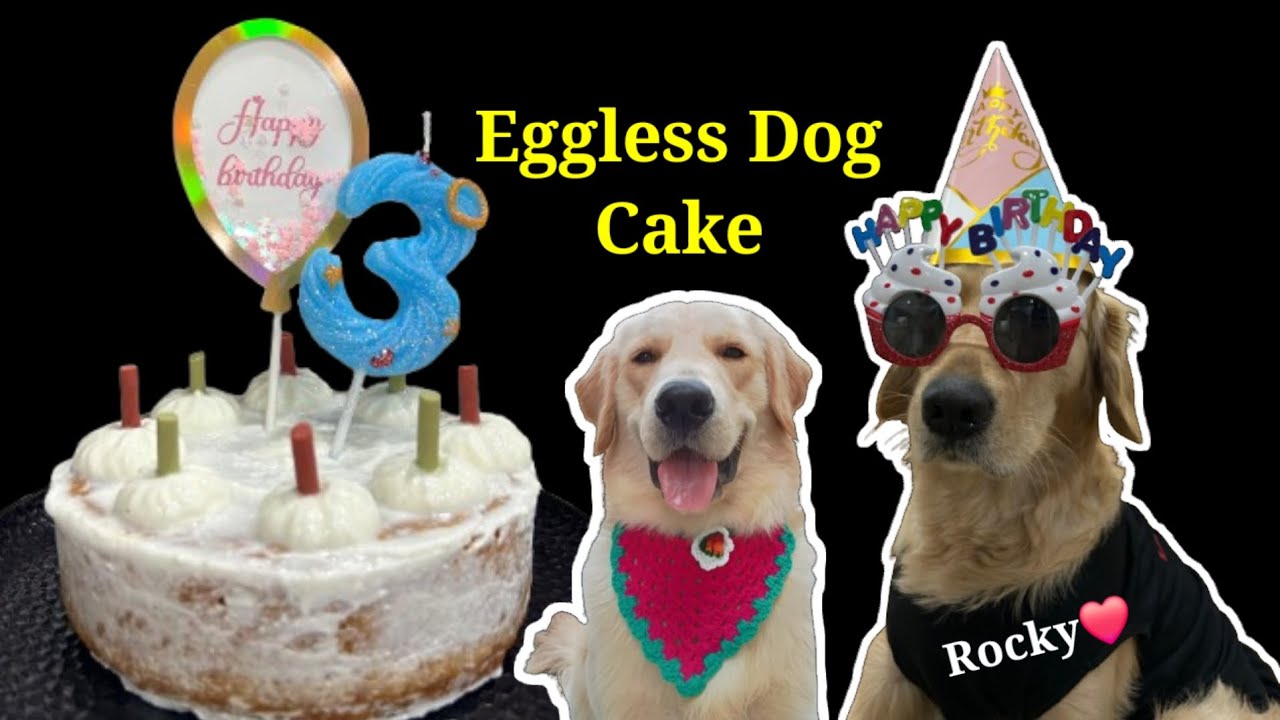 Eggless Dog Cake Recipe 🐶🎂 | Healthy Homemade Cake for Dogs | No Sugar No Oven Dog Cake in Gujarati|