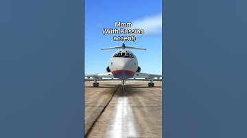 TUPOLEV TU-154 IS HUNGRY🇷🇺