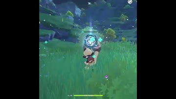 What eggs give in Parametric Transformer