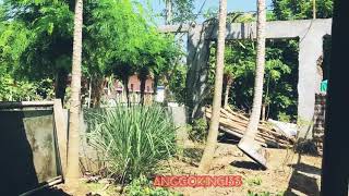 Rx-Kingkasih Sayang Seorang Ibuek I Anake Habis Mandi Di Kali.