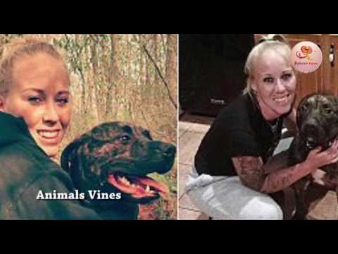 वीडियो: शीर्ष दस विषय पशु चिकित्सक चाहते हैं कि पालतू पशु मालिक बेहतर समझें, भाग १