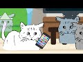 ねこ活動 #162