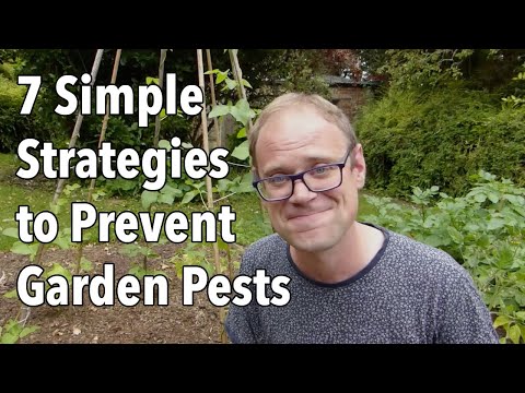 Video: Protecting The Garden From Pests